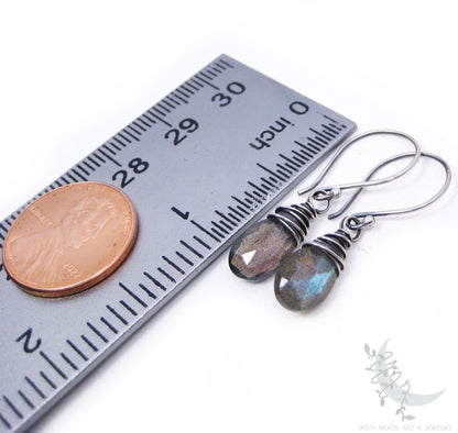 Labradorite Earrings · Sterling Silver Dangle Earrings